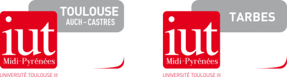 Logo of Moodle - IUT Paul Sabatier